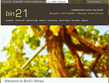 Tablet Screenshot of bin21.com